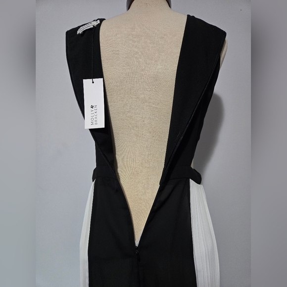 MOLLY BRACKEN NWT black and white  sleeveless maxi dress with cut-out sides. XS - Picture 5 of 15